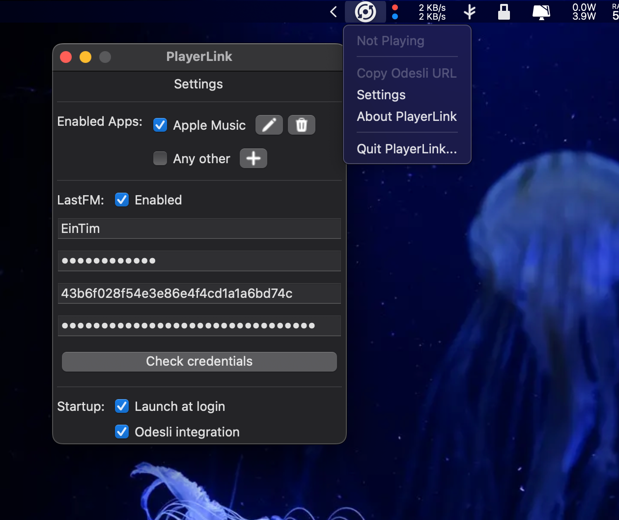 settings window
